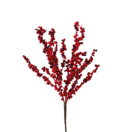 Red berry cluster stem, 14