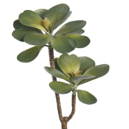 Pic de kalanchoe artificiel, 12''