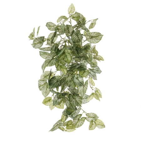 Plant de caladium retombant artificiel, 32