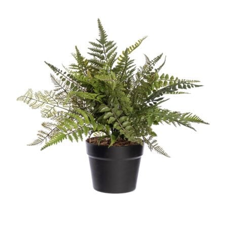 Plant de fougère artificielle en pot, 16 x 18