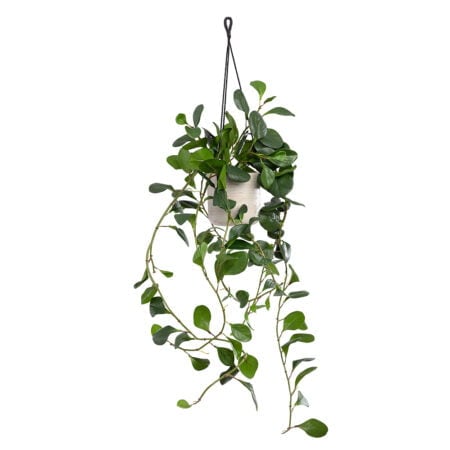 Plant de jade artificiel en pot suspendu, 46 x 16