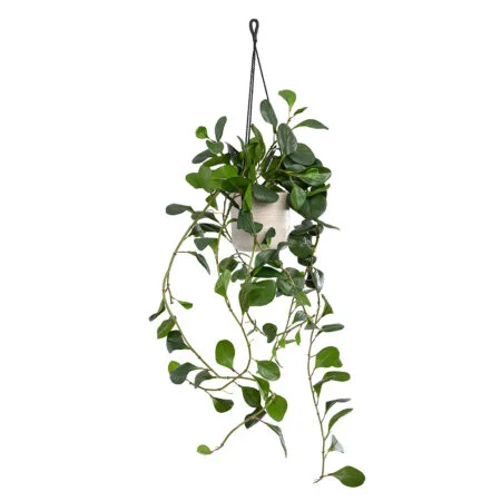Artificial jade plant hanging planter, 46 x 16