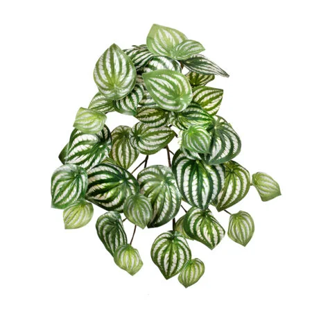 Real touch artificial watermelon peperomia, 13