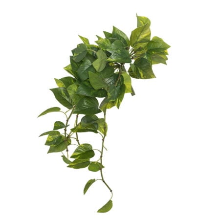 Artificial hanging pothos plant, 22