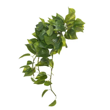 Artificial hanging pothos plant, 22