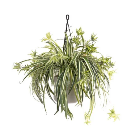 Artificial spider plant hanging planter, 30 x 22