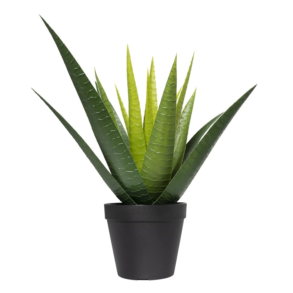 Plante artificielle, aloe vera en pot, 13" - Décors Véronneau