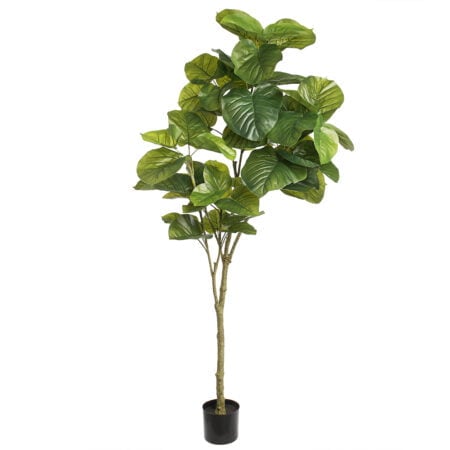 Plante artificielle de ficus rumphii, 72