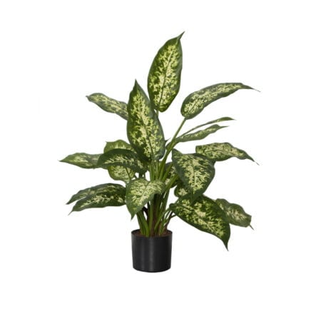 Dieffenbachia artificial plant, 19''