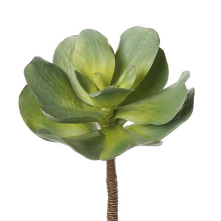 Artificial echeveria succulent, 13
