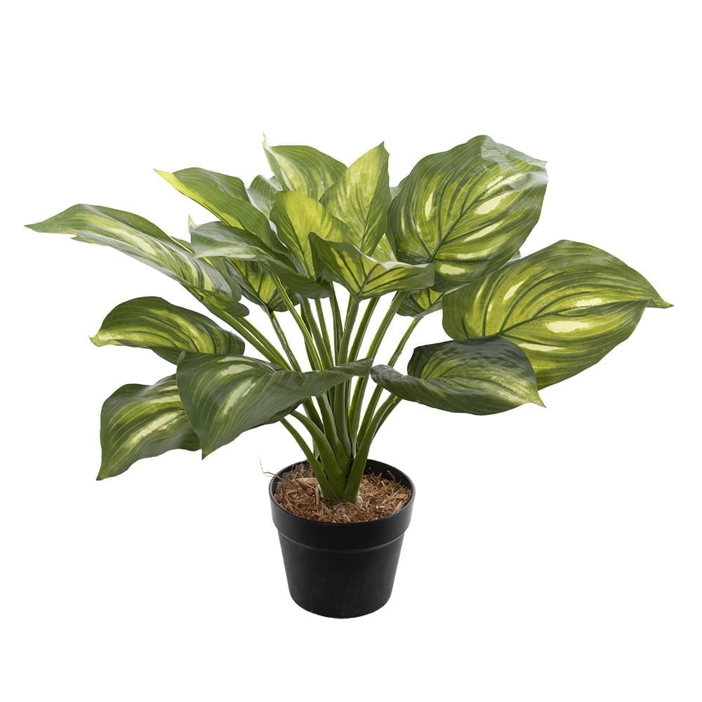 Artificial hosta houseplant, 22'' - Décors Véronneau