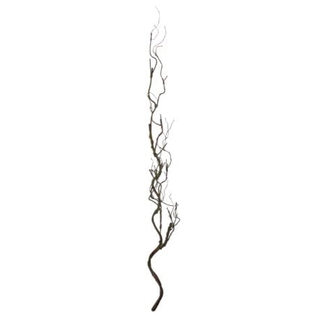 Artificial moss root, 44