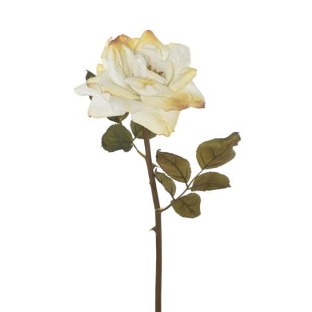 Dried look artificial cream open rose, 22