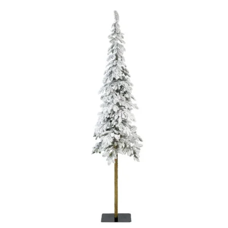 Sapin alpin enneigé sur pied, 4-12'