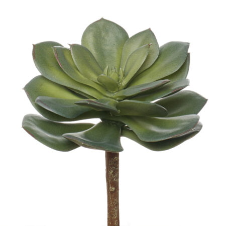Echeveria green prince artificial succulent, 7