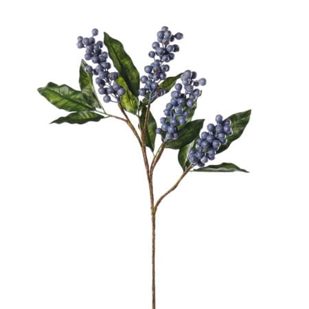 Blue berry cluster stem, 24