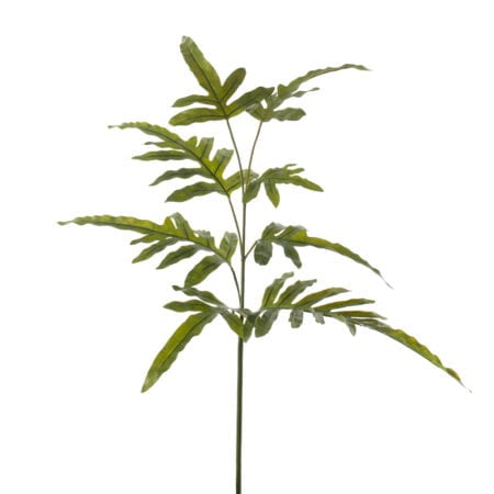 Artificial blue star fern stem, 22