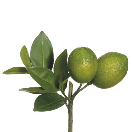 Tige de limes artificielles, 8,5