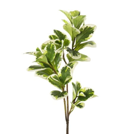 Artificial variegated peperomia foliage, 27''