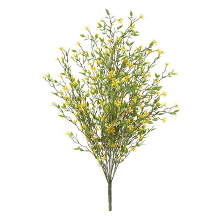 Small yellow wild starflowers, 20