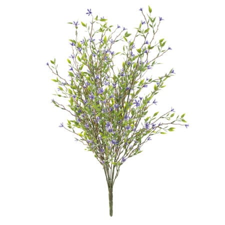 Tige de trientale boréale mauve, 20''