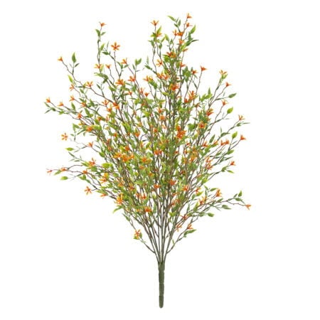 Tige de petites fleurs orange trientales boréales, 20