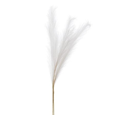 Trio de pampas crème, 33''