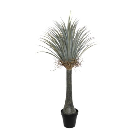 Yucca artificiel, 55