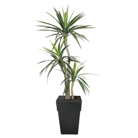 Yucca artificiel extérieur en pot, 65''