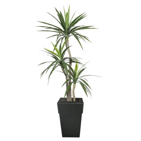Yucca artificiel extérieur en pot, 65''