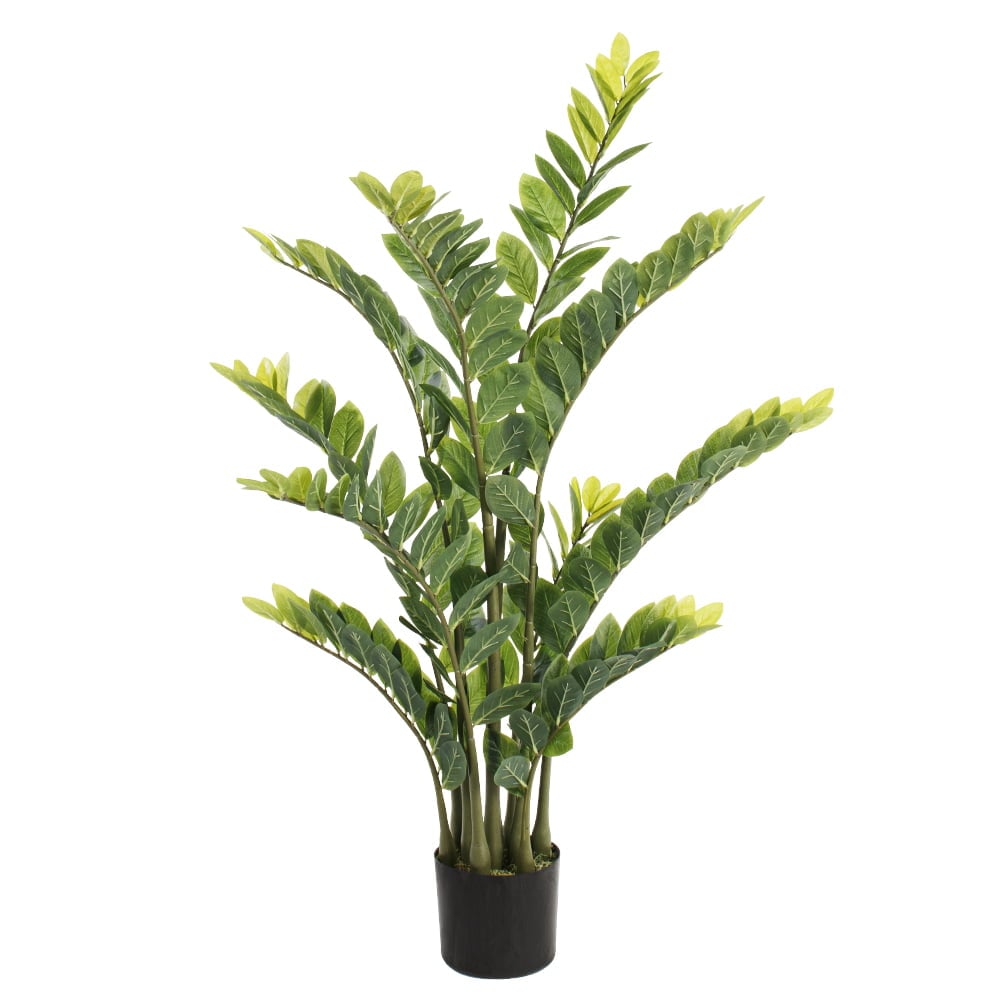 Plante artificielle zamioculcas, 51" - Décors Véronneau
