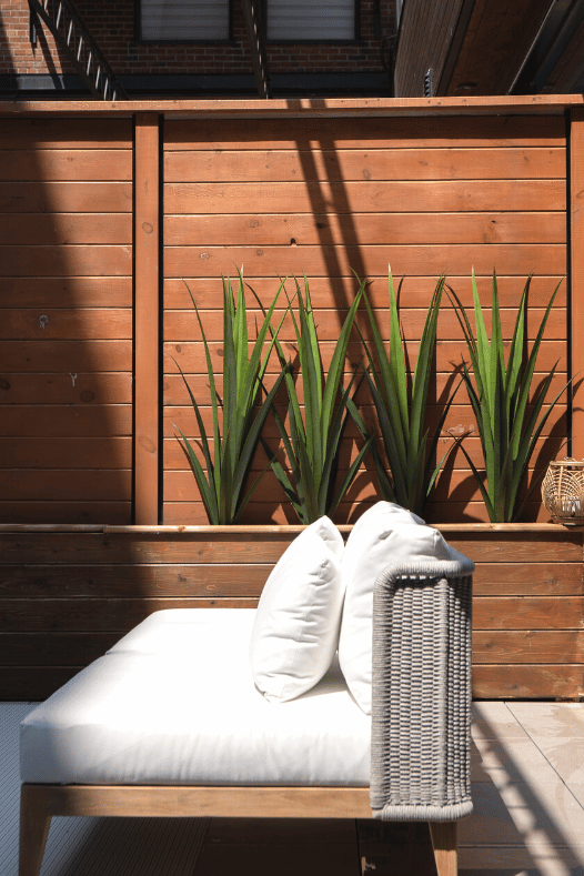 Agaves artificiels sur une terrasse - Décors Véronneau
