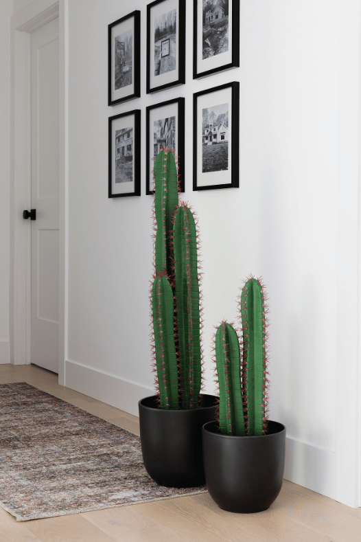 Cactus artificiels et cadres décoratifs - Décors Véronneau