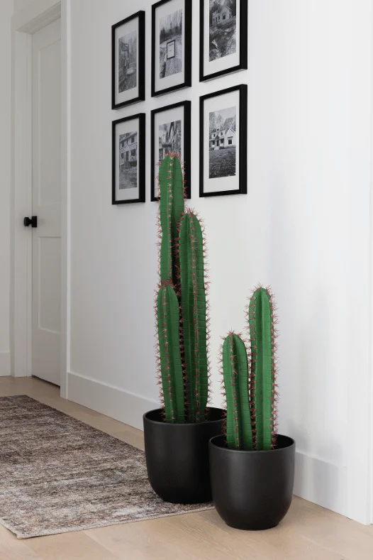 Desert Chic Style: Cactus & Succulents - Dcors Vronneau
