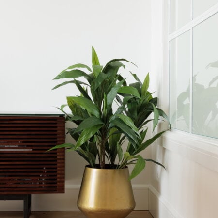 Cordyline verte artificielle, 47'' - Décors Véronneau