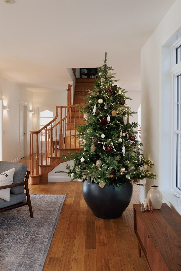 Sapin de Noël dans un cache-pot noir - Décors Véronneau