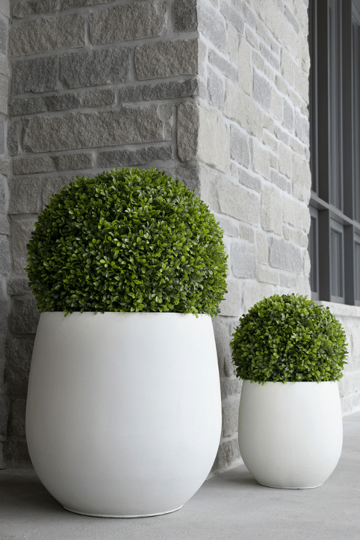 Boule de buis dans un cache-pot blanc - Décors Véronneau