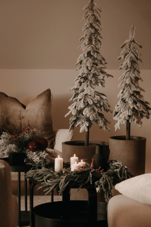 Sapin alpin blanc - Décors Véronneau