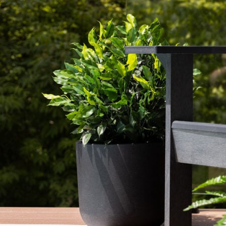 Topiaire de ficus artificiel extérieur en pot - Décors Véronneau