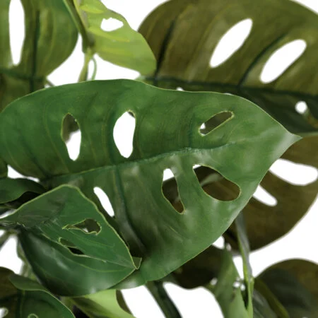 Real-touch artificial monstera andansonii foliage, 22'' - Décors Véronneau