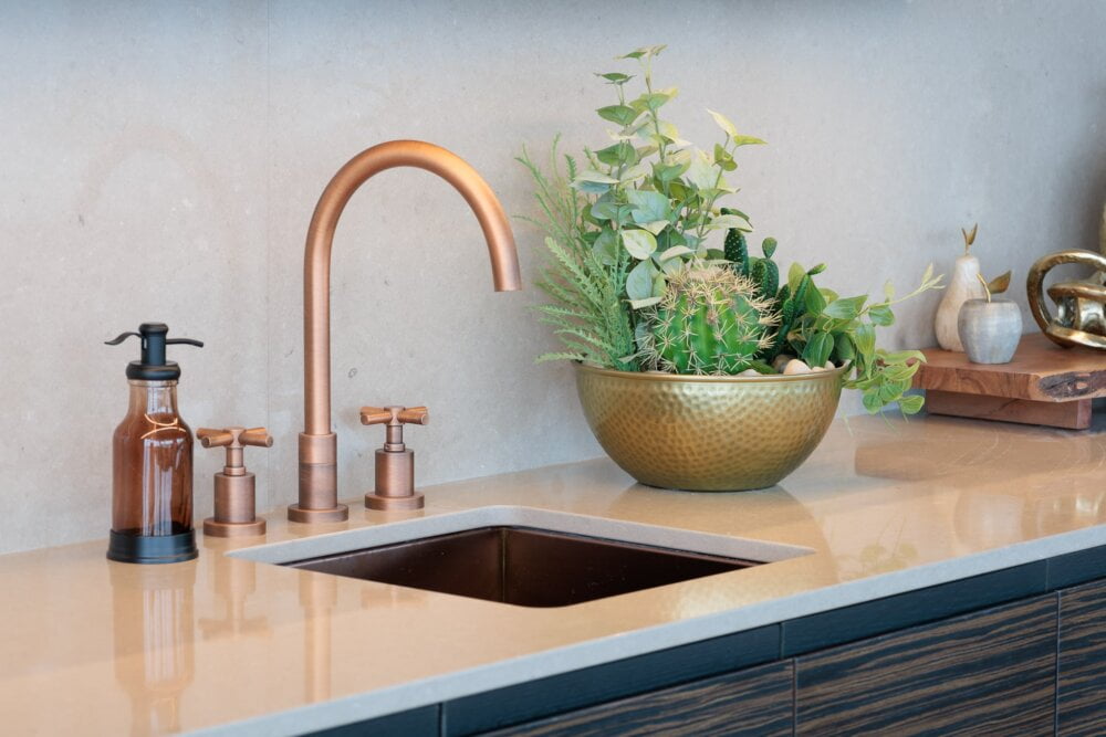 Arrangement de cactus et de plantes vertes - Décors Véronneau