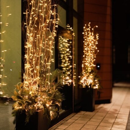 Outdoor 100 LEDs on white wire, warm white, 52,5'