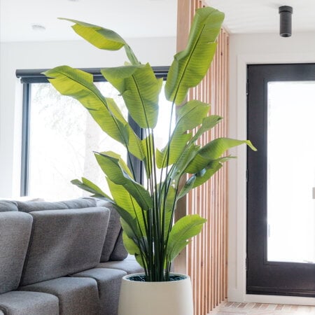 Artificial giant banana tree, 82,5'' - Décors Véronneau