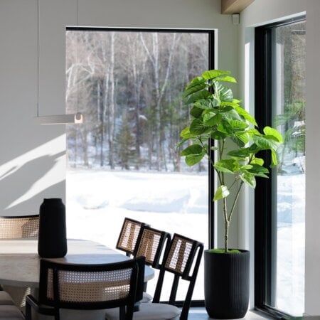 Plante artificielle de ficus rumphii, 72