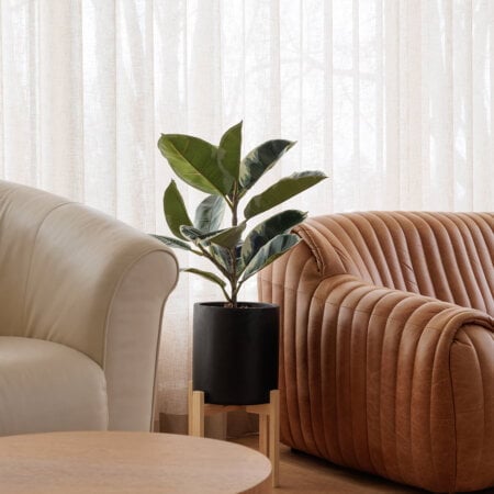 Ficus elastica artificiel en pot sur pied, 38 x 20'' - Décors Véronneau