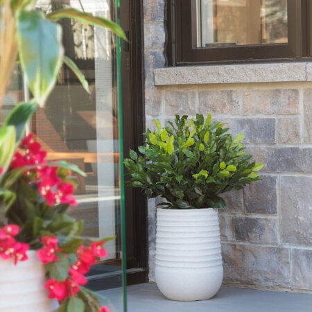 Topiaire de ficus artificiel extérieur en pot beige fini terrazzo gris, 28 x 20'' - Décors Véronneau