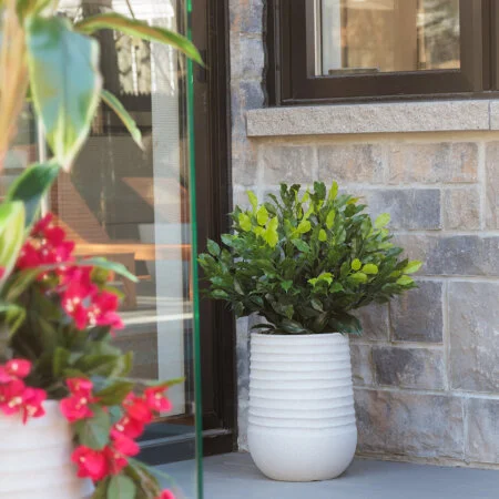 Topiaire de ficus artificiel extérieur en pot beige fini terrazzo gris, 28 x 20'' - Décors Véronneau