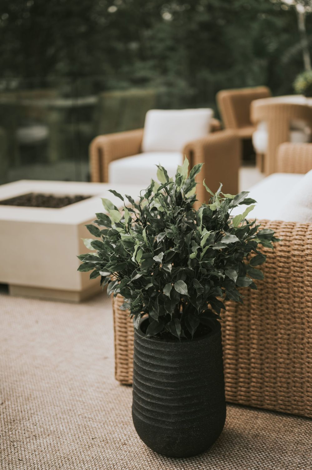 Plante artificielle extérieure sur une terrasse avec divan blanc - Décors Véronneau