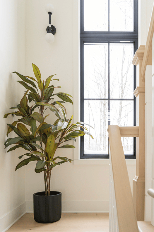 Cordyline verte près d'un escalier - Décors Véronneau