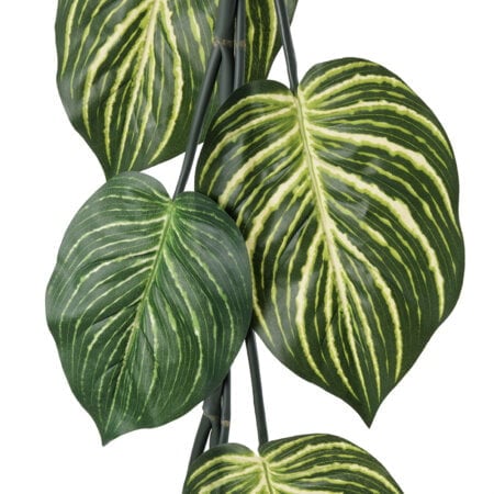 Guirlande de plante zèbre artificielle, 72'' - Décors Véronneau